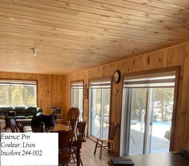 Salon lumineux avec murs en bois et grandes fenêtres.