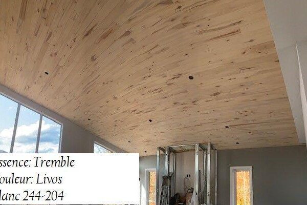 Plafond en tremble couleur Livos blanc.